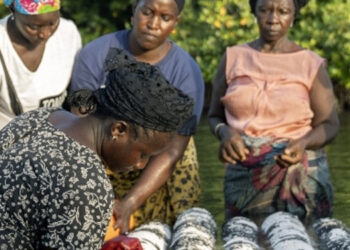 In Gambia e Zimbabwe con il tour virtuale di FISH4ACP