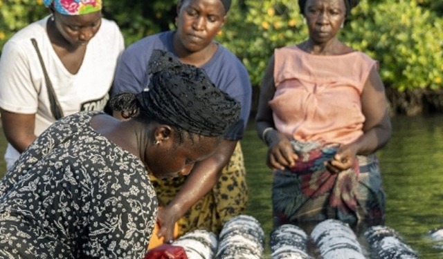 In Gambia e Zimbabwe con il tour virtuale di FISH4ACP