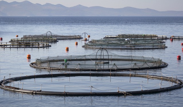 Kilic in trattative per l'acquisizione di Agromey