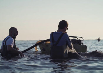 La pesca e l'acquacoltura di Legacoop Agroalimentare ad ECOMONDO