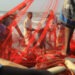 Oceans Futures: piattaforma contro conflitti di pesca climatici