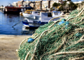 Pesca INN. ONG ok a creazione di sistema sanzionatorio