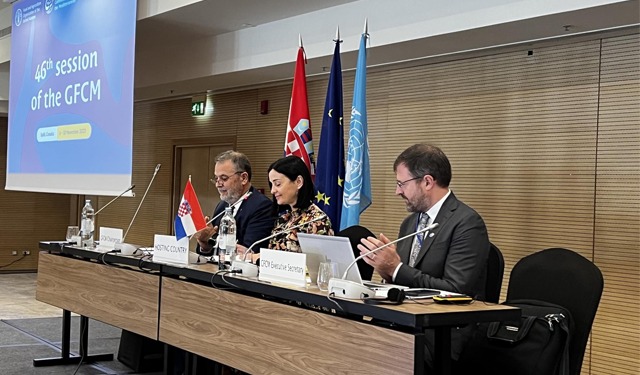 Pesca e acquacoltura. GFCM: i paesi uniti per futuro sostenibile