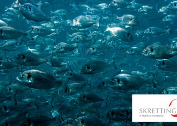 Protec, l’alimento funzionale che rinforza, sostiene e bilancia