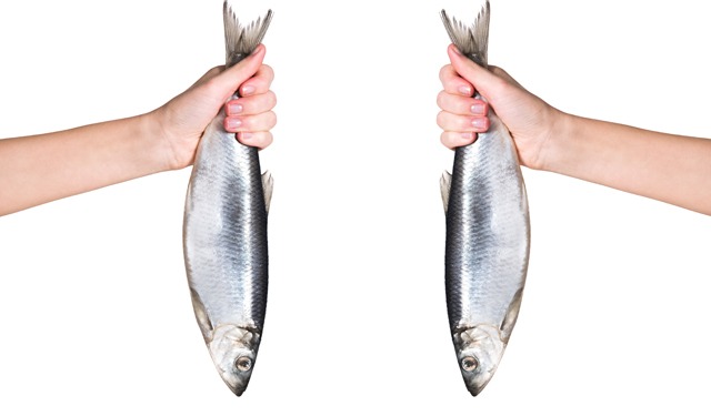 Quanto sono resilienti pesca e acquacoltura?