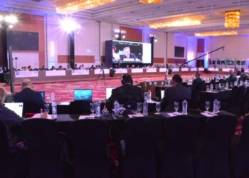 Shark League, avanzamenti nella conservazione di mante e squali nell'Atlantico