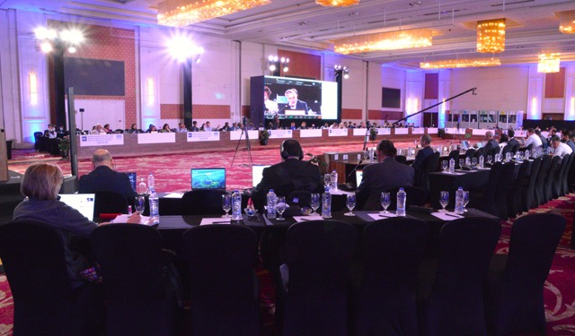 Shark League, avanzamenti nella conservazione di mante e squali nell'Atlantico