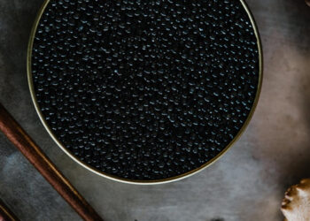 Storione e caviale fraudolenti in UE