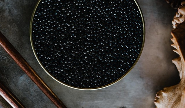 Storione e caviale fraudolenti in UE