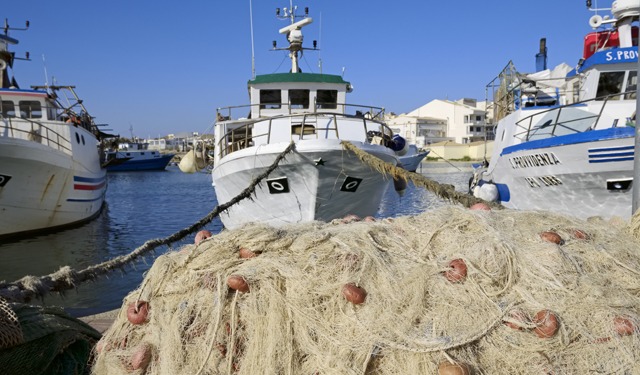 UE pesca 3,4 milioni di tonnellate nel 2022