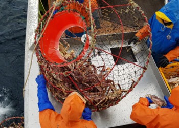 Innovazione negli attrezzi da pesca: sostenibilità e sfide sociali