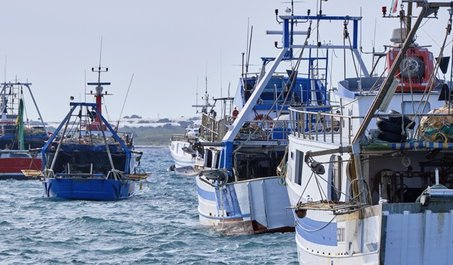 Alleanza: migliora stato risorse ittiche, ma da Ue nuovi limiti cattura
