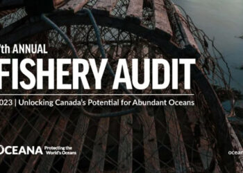 Il Canada ha gestito male la pesca negli ultimi sette anni