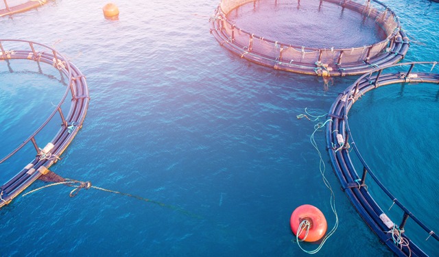 Innovativo progetto di gestione circolare dei rifiuti in acquacoltura