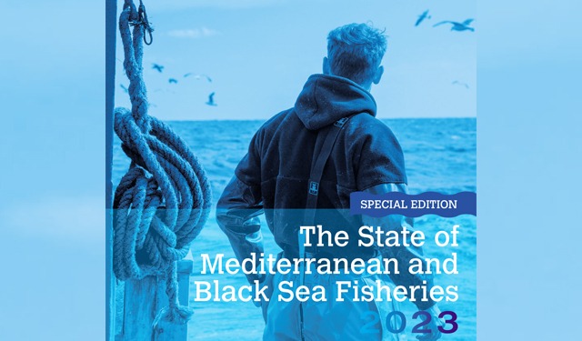 Meno pesca eccessiva nel Mediterraneo e nel Mar Nero