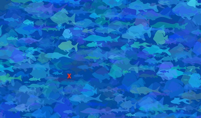 Razza di Java: ufficiale l'estinzione a causa dell’uomo