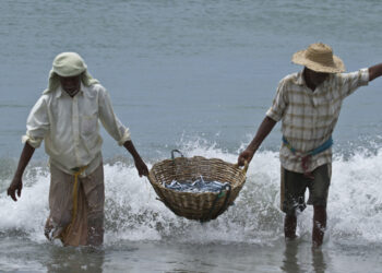 Cambiamento climatico: disparità crescenti nel pescato