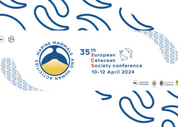 Catania Capitale Europea dei Cetacei 2024