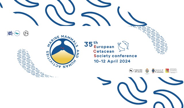 Catania Capitale Europea dei Cetacei 2024