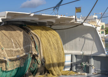 Coldiretti, Parlamento UE in campo per salvare la pesca a strascico
