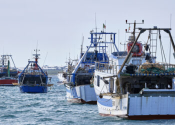 Federpesca: da Parlamento UE finalmente segnali positivi per la pesca