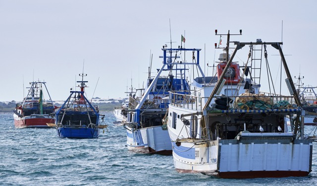 Federpesca: da Parlamento UE finalmente segnali positivi per la pesca