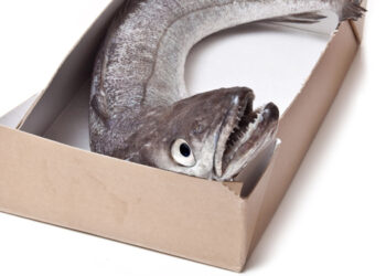 Gli italiani sempre più attenti al packaging sostenibile