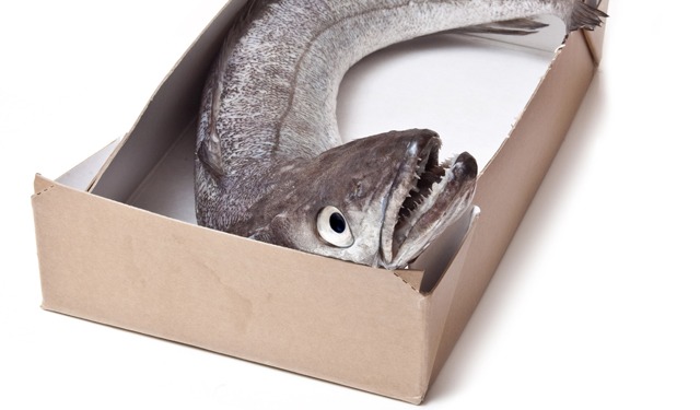 Gli italiani sempre più attenti al packaging sostenibile