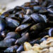 UE prolunga divieto di importare molluschi bivalvi dalla Turchia