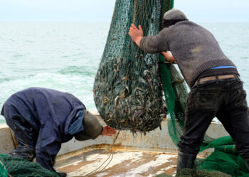 In vigore il nuovo sistema di controllo della pesca UE