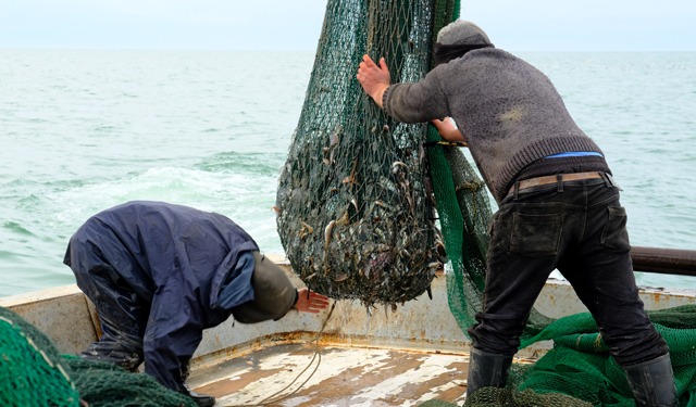 In vigore il nuovo sistema di controllo della pesca UE