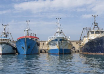 La transizione energetica delle flotte pescherecce UE