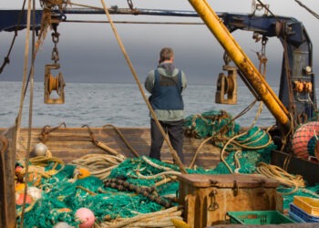 L'intelligenza artificiale rivoluziona la pesca