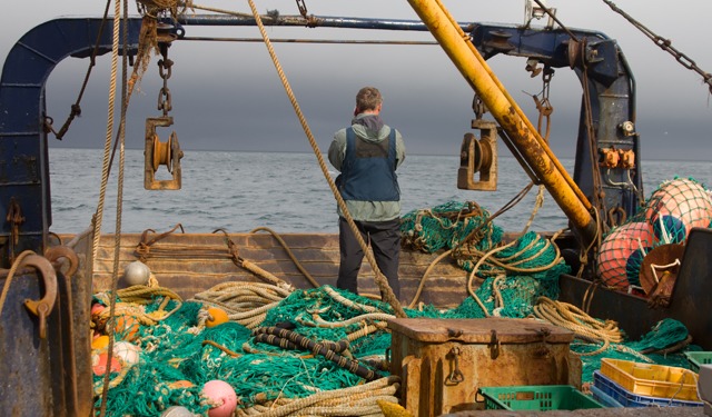 L'intelligenza artificiale rivoluziona la pesca