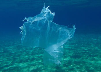 Quale l'impatto della plastica biodegradabile negli oceani?