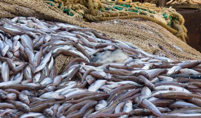 Studio clima 2024: pratiche industriali e impatto climatico