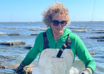 Sue Wicks, dal basket all'algocoltura