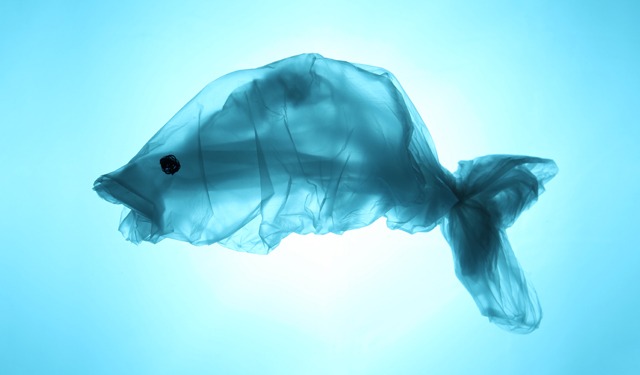 Tutto ciò che mangiamo contiene microplastiche