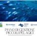 Un piano di gestione dei piccoli pelagici in Campania per il rilancio della pesca