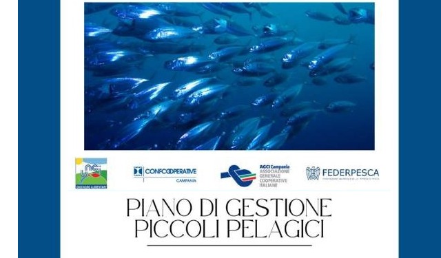 Un piano di gestione dei piccoli pelagici in Campania per il rilancio della pesca