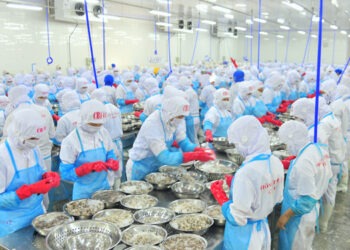 Vietnam, potenza globale nel commercio ittico da acquacoltura