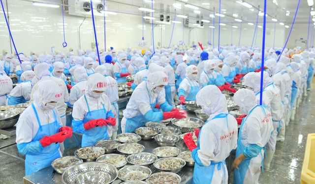 Vietnam, potenza globale nel commercio ittico da acquacoltura