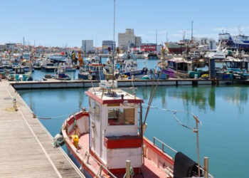 Cancro contagioso nei mitili: allarme nei porti francesi