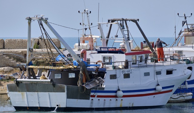 Da Europêche le prospettive e le sfide del settore pesca