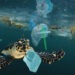 Nuovo studio sull'inquinamento da plastica