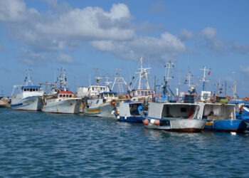 Feampa da 116 milioni in Sicilia