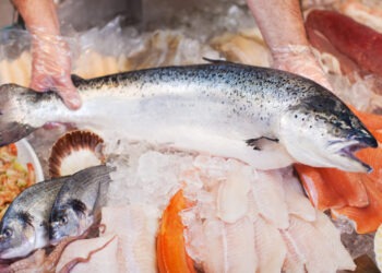 Il salmone piace e si vende