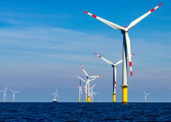 Parchi eolici offshore: bilanciare l'energia verde e la biodiversità