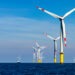 Parchi eolici offshore: bilanciare l'energia verde e la biodiversità