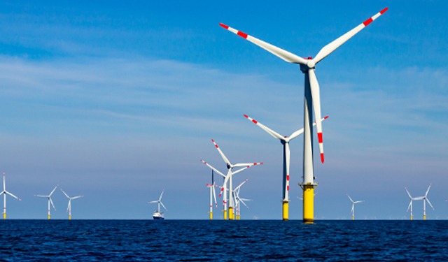 Parchi eolici offshore: bilanciare l'energia verde e la biodiversità